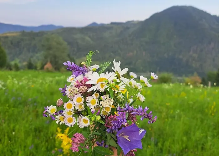 глиняна хатинка * Beloberezka