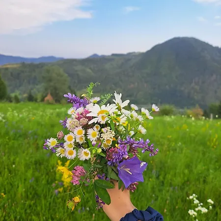 глиняна хатинка * Beloberezka